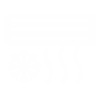 cabin-filter